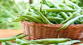 Fagiolini, come sceglierli quando si devono acquistare?