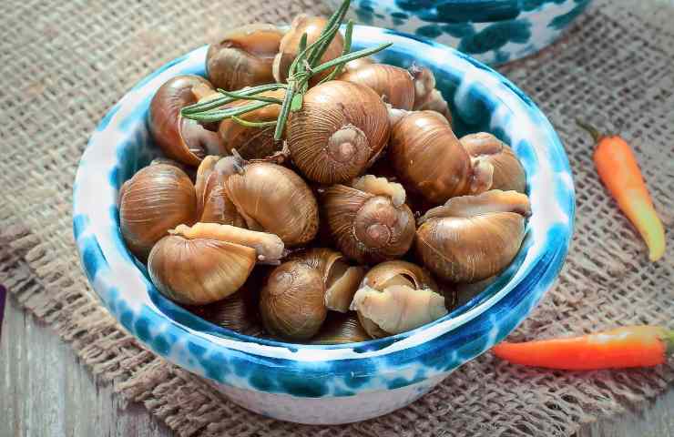 Mangia una lumaca e more, come è successo