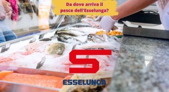 Da dove arriva il pesce dell’Esselunga? Provenienza incredibile