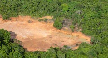 Deforestazione Amazzonia: sembrano arrivare buone notizie