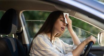 Tende da sole ricoperte di piante: la nuova idea contro il caldo nelle città