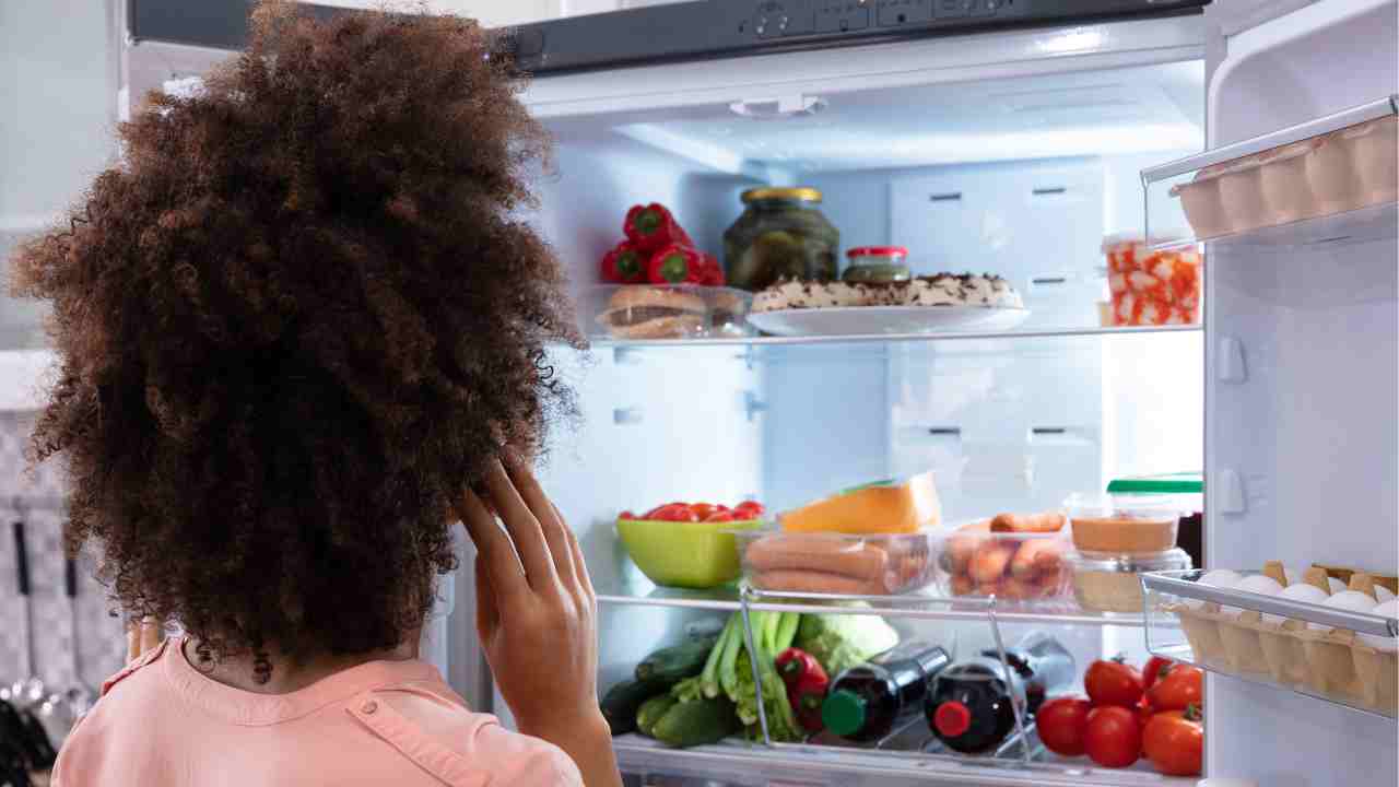L'impostazione del frigorifero grazie alla quale risparmierai