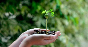 Entro agosto va presentato il piano: presenti nel documento gli obiettivi per la transizione ecologica