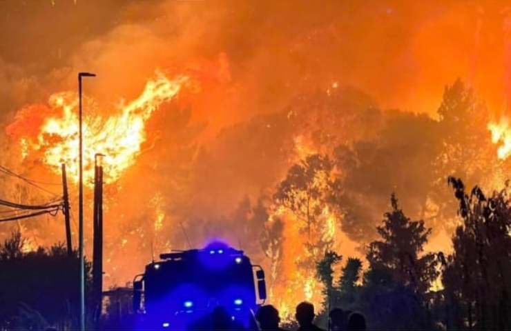 palermo cosa sta succedendo