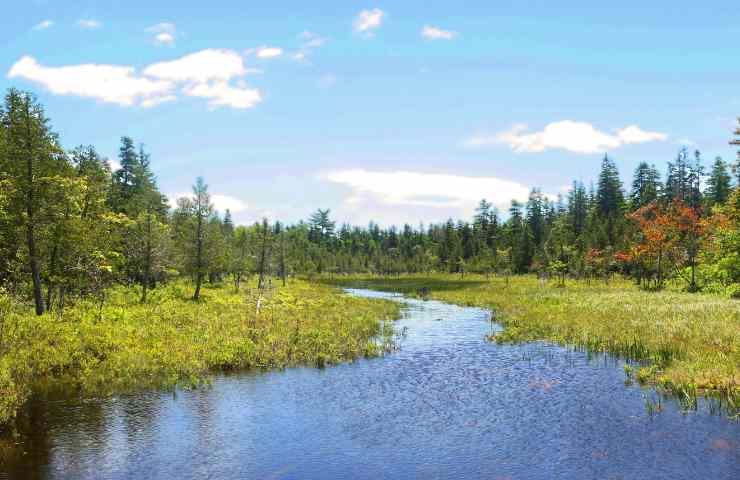 Fiume prosciugato