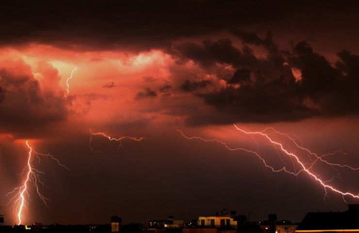 Perché la tempesta a Milano abbatte tutto ma non alcuni alberi specifici