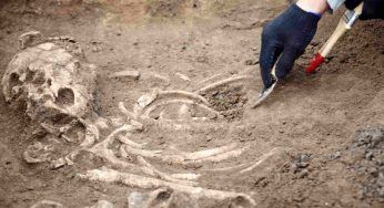 Neanderthal: come comunicavano fra loro