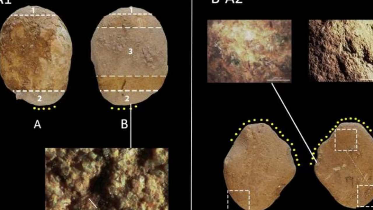 macinazione farina Neanderthal