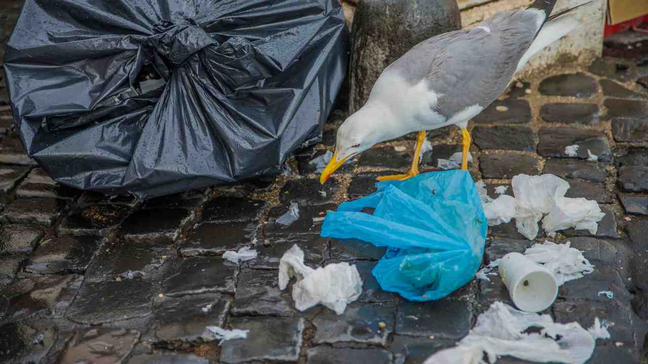 rifiuti a Roma emergenza sanitaria 