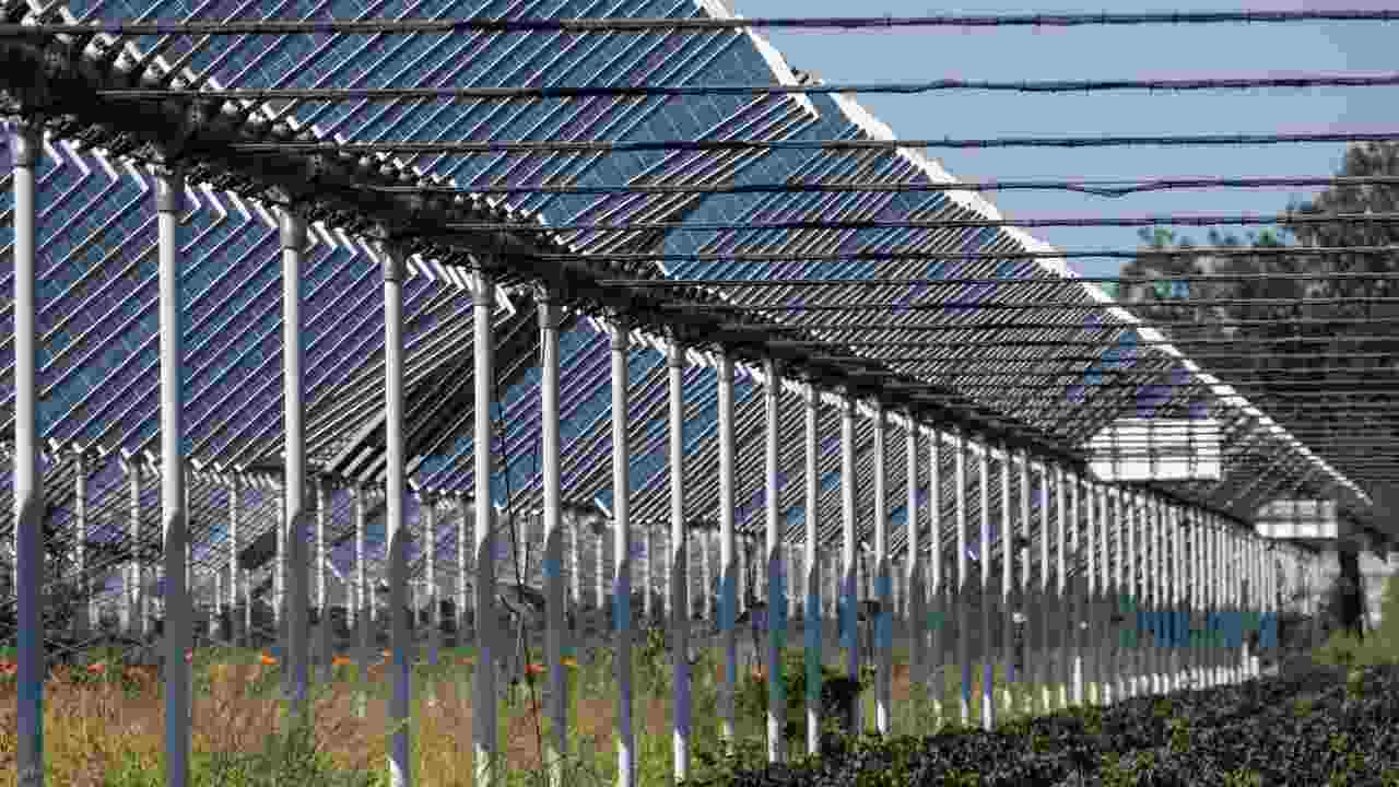 agrivoltaico cosa è