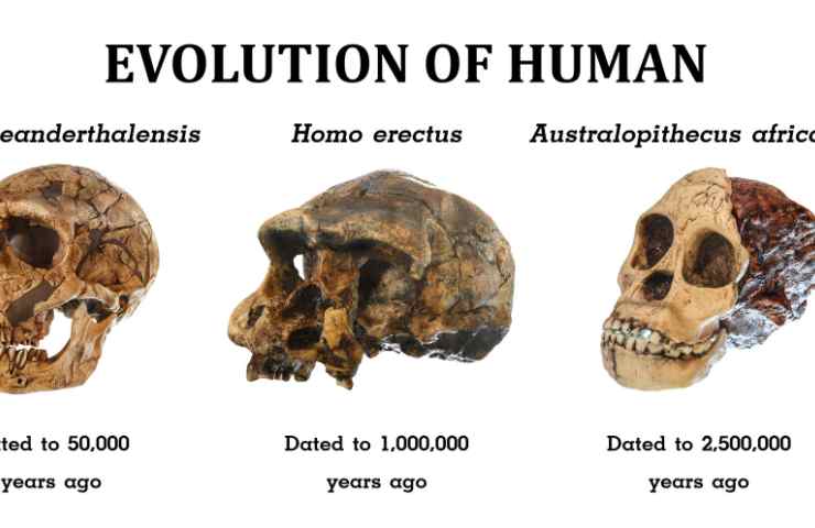 Uomo Neanderthal comunicazione