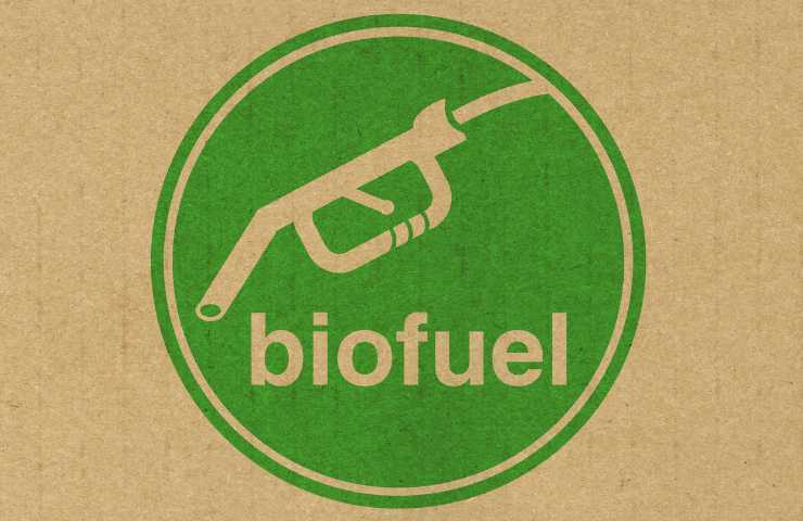 Biocarburanti greenwashing