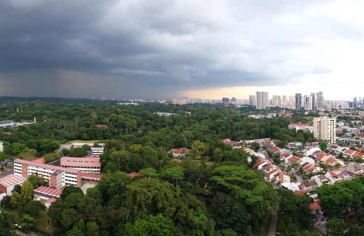 foreste urbane sottragono caldo ed inquinamento