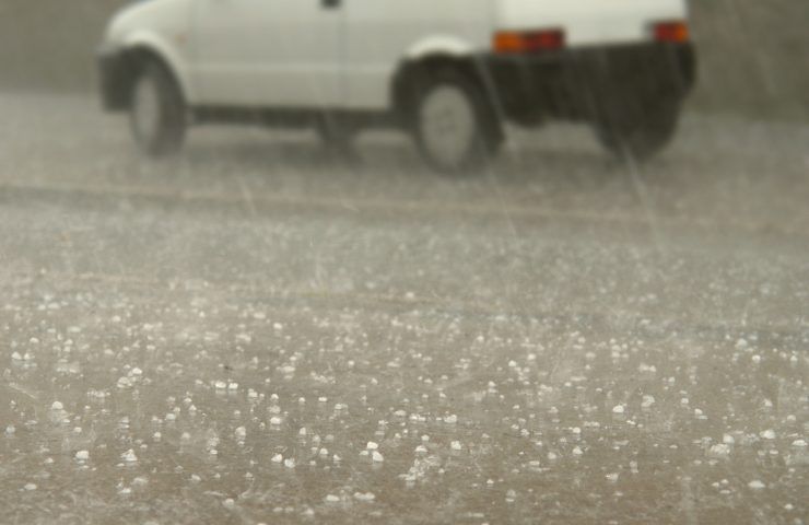 Perché la tempesta a Milano abbatte tutto ma non alcuni alberi specifici