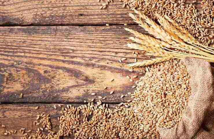 Grano pasta pane rincari accordo