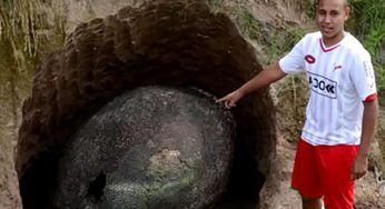 Il contadino lo trova nel suo terreno: la polizia arriva immediatamente