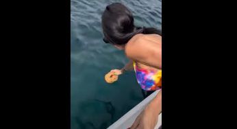 Pubblicato sui social fa discutere: perchè è pericoloso usare l’acqua di mare per il cibo