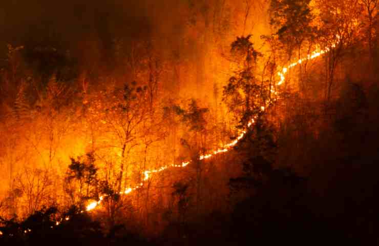 Incendi Grecia