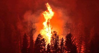 Sicilia, emergenza incendi: sale il bilancio delle vittime
