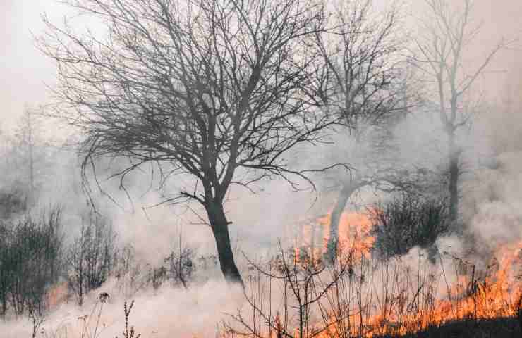 Grecia incendio