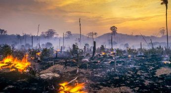 Incendi in Amazzonia del 2019