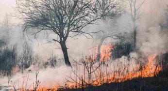 Emergenza incendi: uomo muore nel suo casolare, feriti figlia e genero