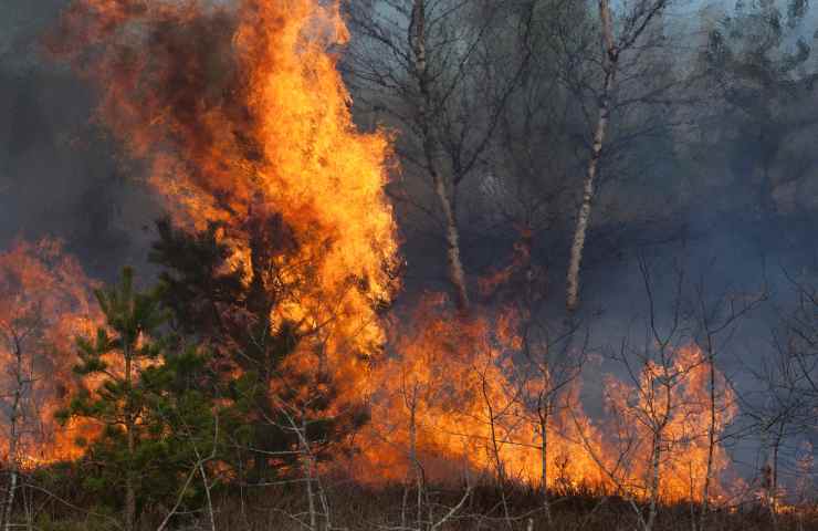 Incendi sud Italia emergenza