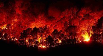 Incendi Rodi e Corfù, la Grecia brucia: cause e precedenti, come comportarsi in situazioni di emergenza