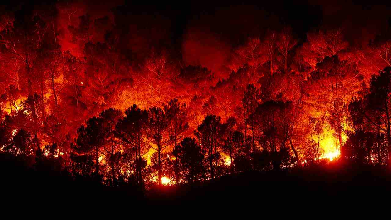 Gli Incendi a Rodi e Corfù sono dolosi, migliaia gli sfollati