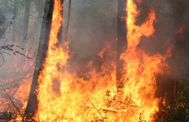 Incendio Lecce lidi evacuati