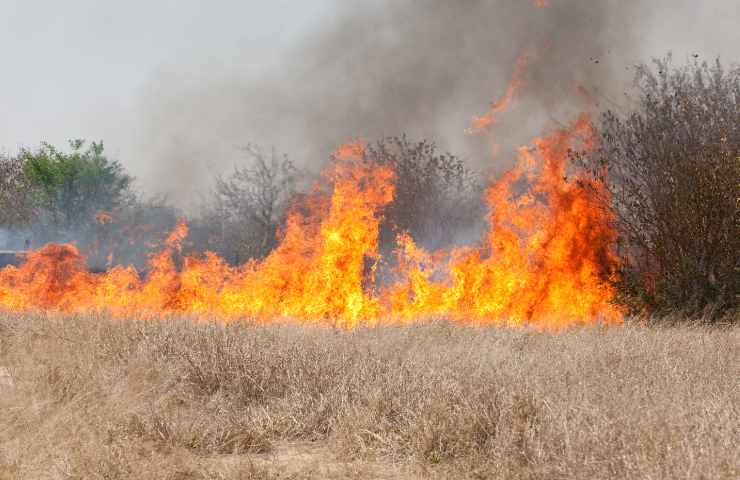 Palermo tre morti incendi