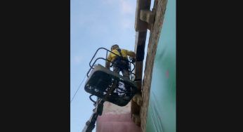 Roma, dal set tenta di rimuovere 150mila api: finisce in ospedale