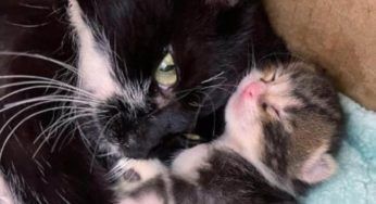 È stata abbandonata poco prima del parto: aveva bisogno di aiuto e si è ritrovata sola