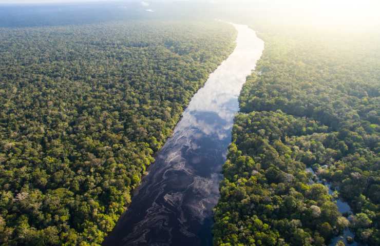 importanza foresta amazzonica
