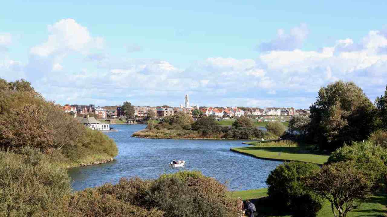 Lago Fairhaven pastore tedesco intrappolato