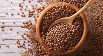 Lenticchie non solo in inverno: scopri un’insalata estiva da non perdere