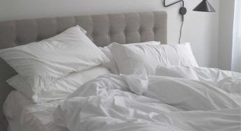 Invadono il letto e sono “invisibili”: un incubo del quale puoi liberarti