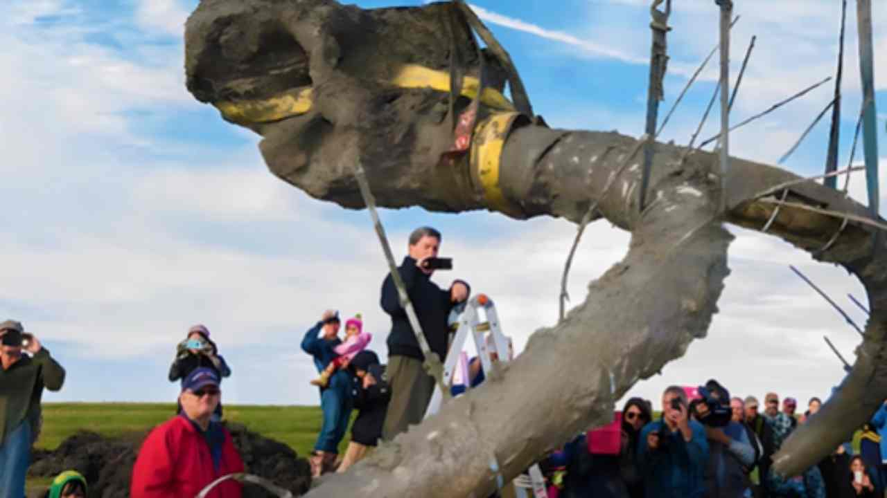 Agricoltore scopre mammut sepolto nel suo terreno