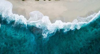Batterio fertilizzante trovato negli oceani: perché lascia sbalorditi gli scienziati