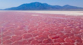 Lago Natron, come si può sopravvivere