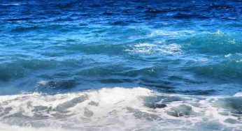 Florida le temperature dell’acqua salgono: record non positivo per l’Atlantico