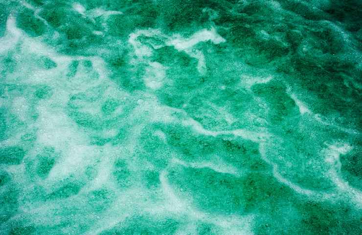 Acqua verde oceano motivi esperti
