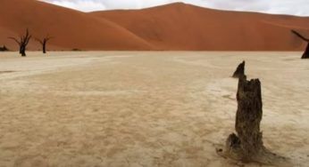 Namib-Naukluft National Park: la death valley mostra come la natura sia unica