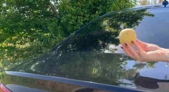 Perché portare sempre una patata in macchina: il segreto che può anche salvarti la vita