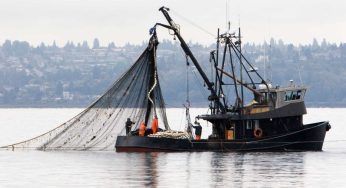 Nessuno immaginava cosa avrebbero pescato: è enorme – VIDEO