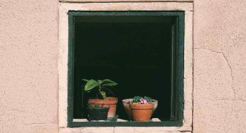 Finestre, l’orario da non sbagliare per far arieggiare la casa in estate