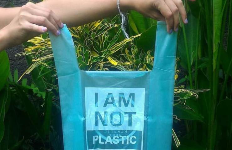Plastica biodegradabile come funziona
