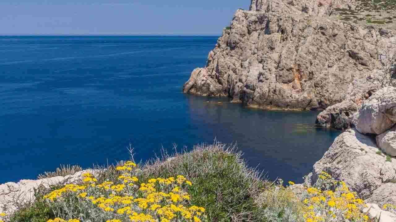 Parco Speciale Porto Conte Wepa installato