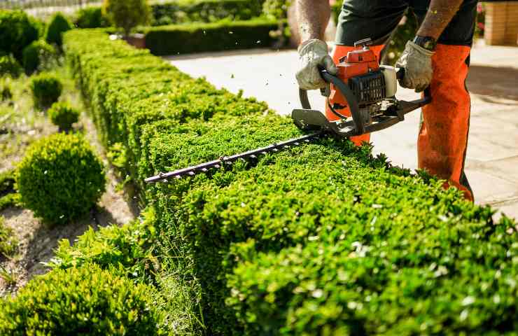 come potare il giardino