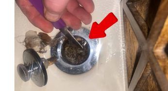 Cosa si trova nello scarico: disgustoso ciò che non vediamo – VIDEO